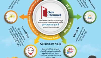 Gov Service Rev For Gov Ii 724x1024 1